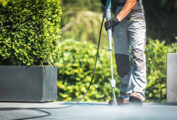 Best Sidewalk and Walkway Cleaning  in North Fort Myers, FL