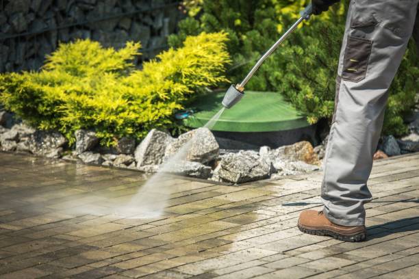 Best Spring Cleaning  in North Fort Myers, FL
