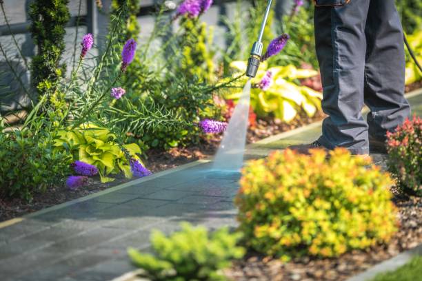 Best Winterizing Services  in North Fort Myers, FL
